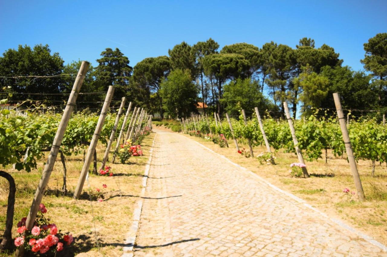 B&B Villa Branca Barreiros Al98139 Kültér fotó